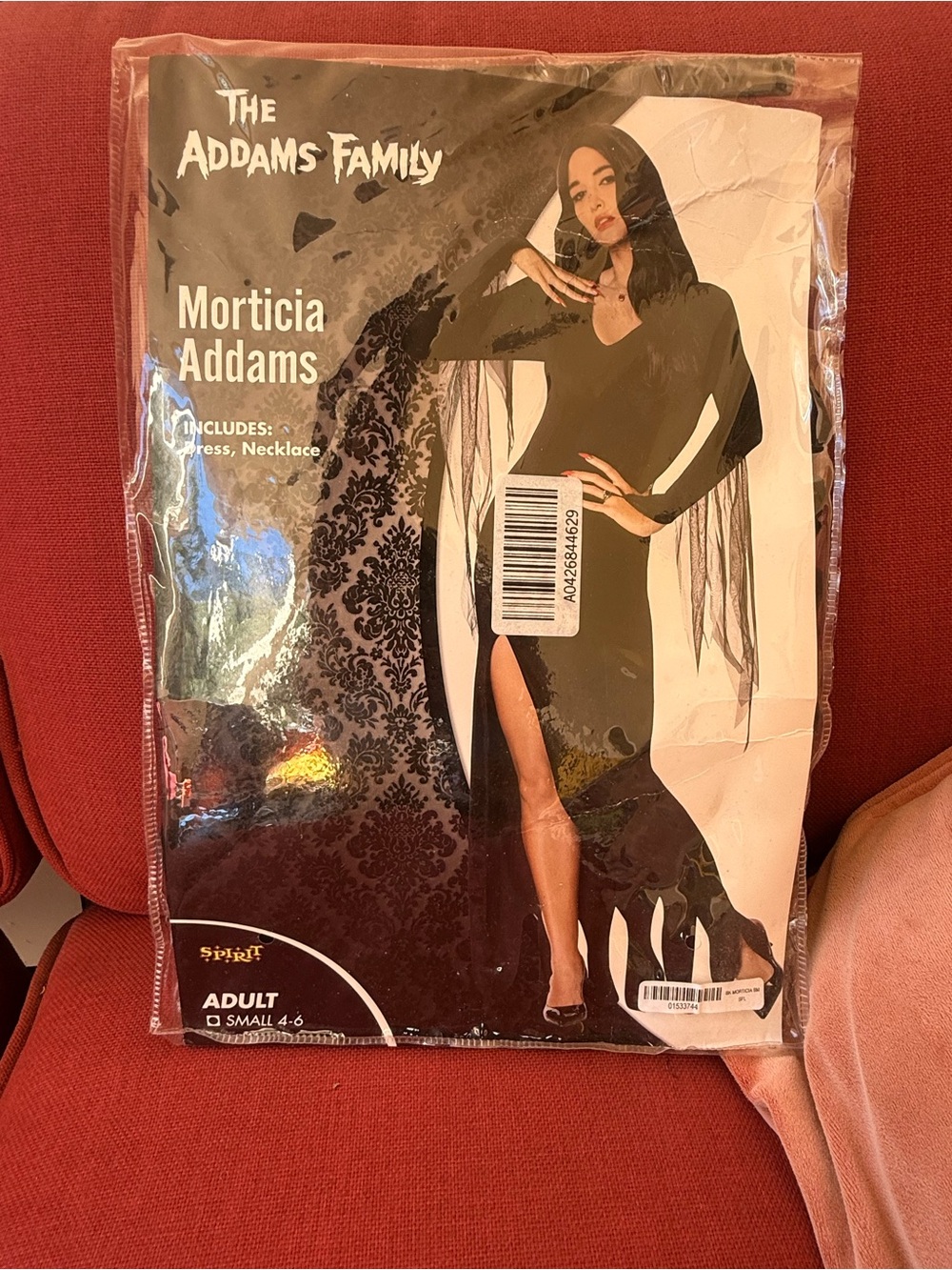 The Addams Family Morticia Addams Costume - Black